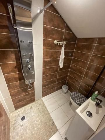 Studio Privee Vesoul -Wifi,Tv,Clim,Parking Gratuit Kültér fotó